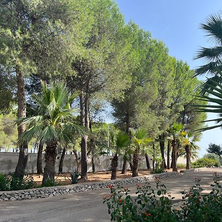 Casette Masseria La Camardia Сава Экстерьер фото