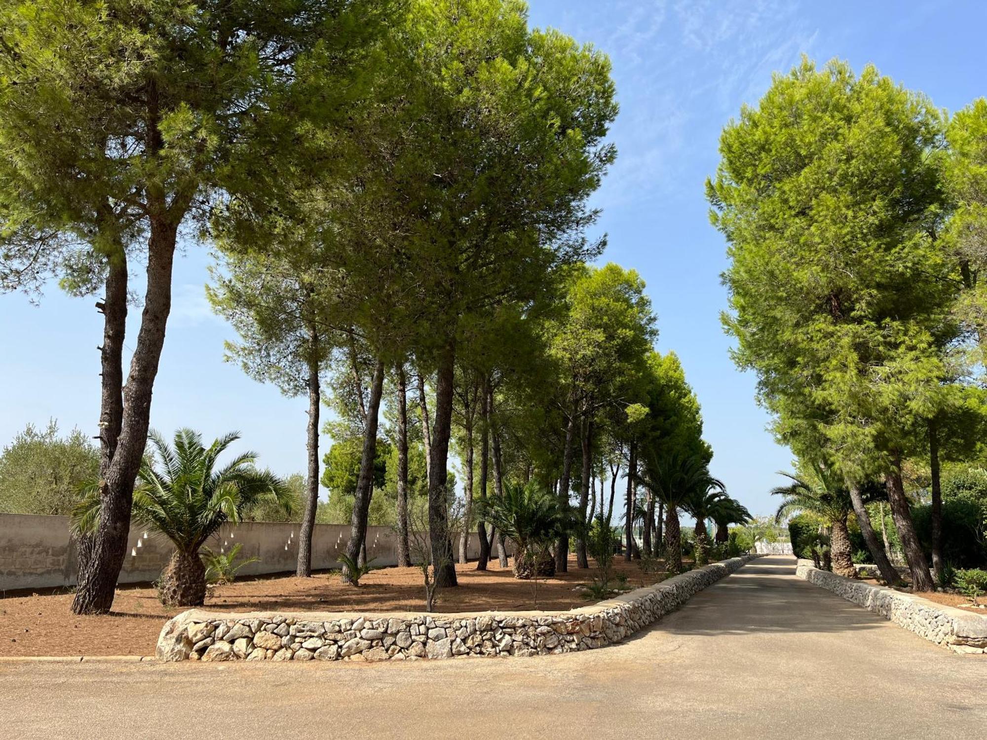 Casette Masseria La Camardia Сава Экстерьер фото