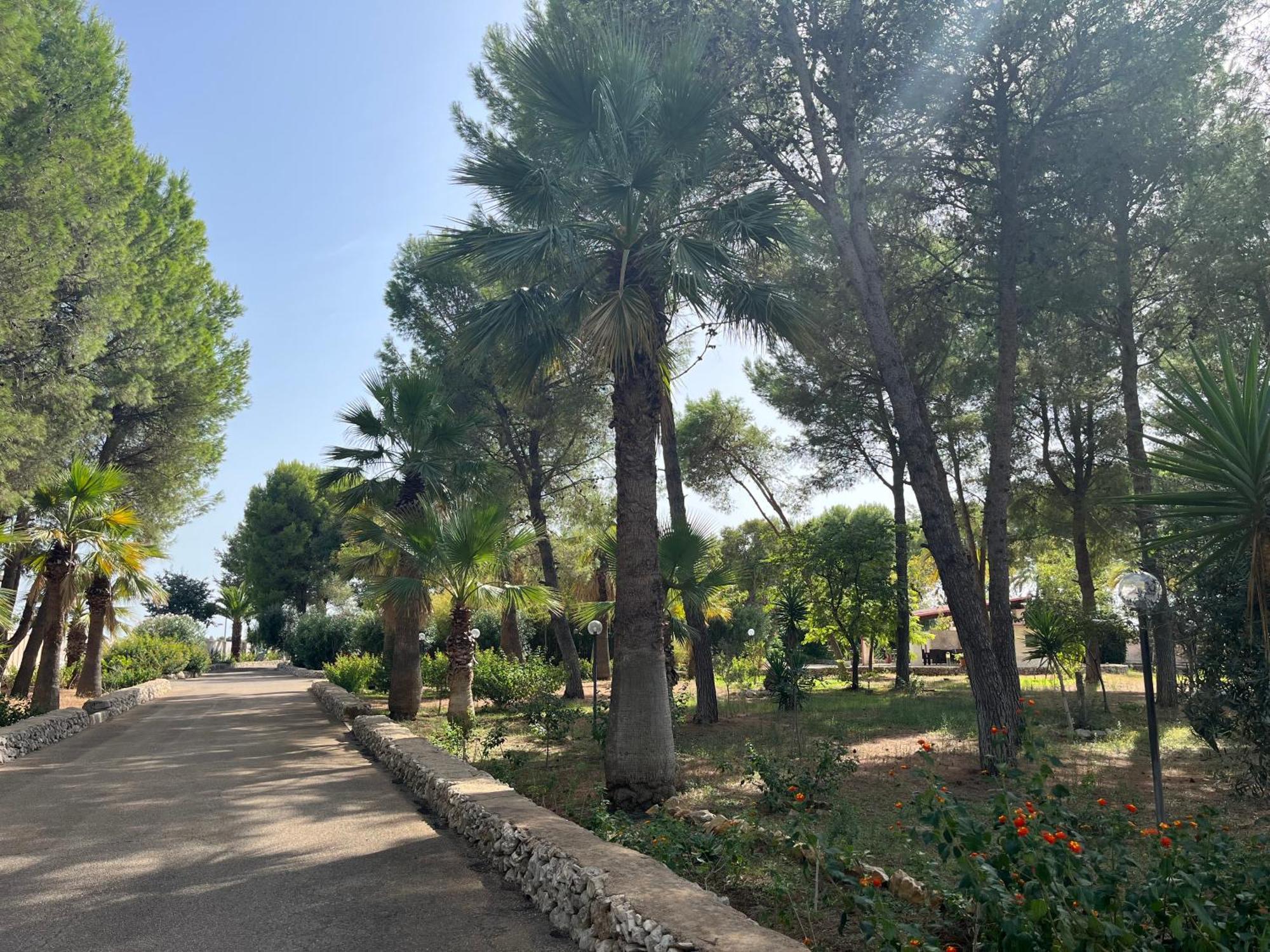 Casette Masseria La Camardia Сава Экстерьер фото