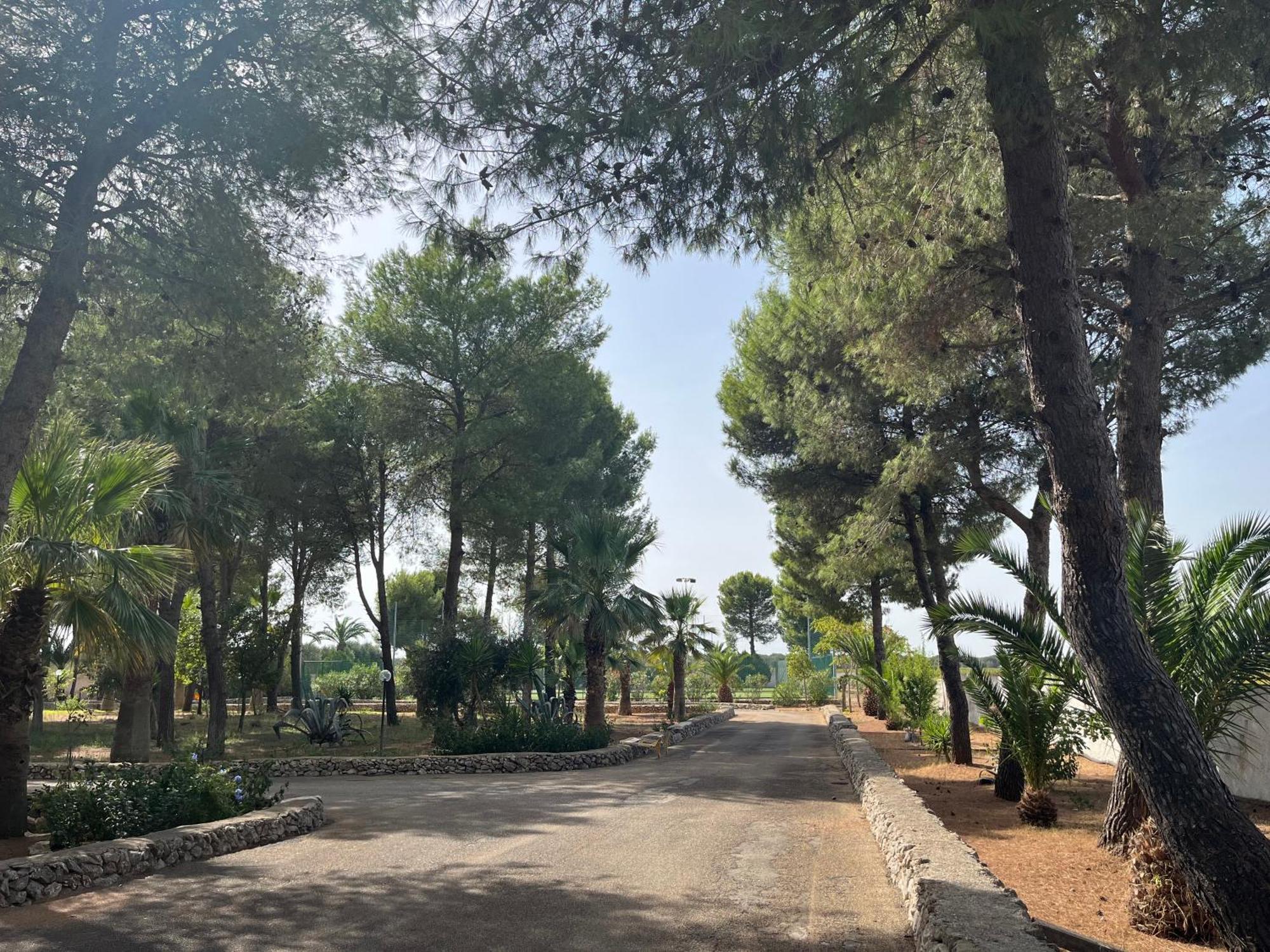 Casette Masseria La Camardia Сава Экстерьер фото