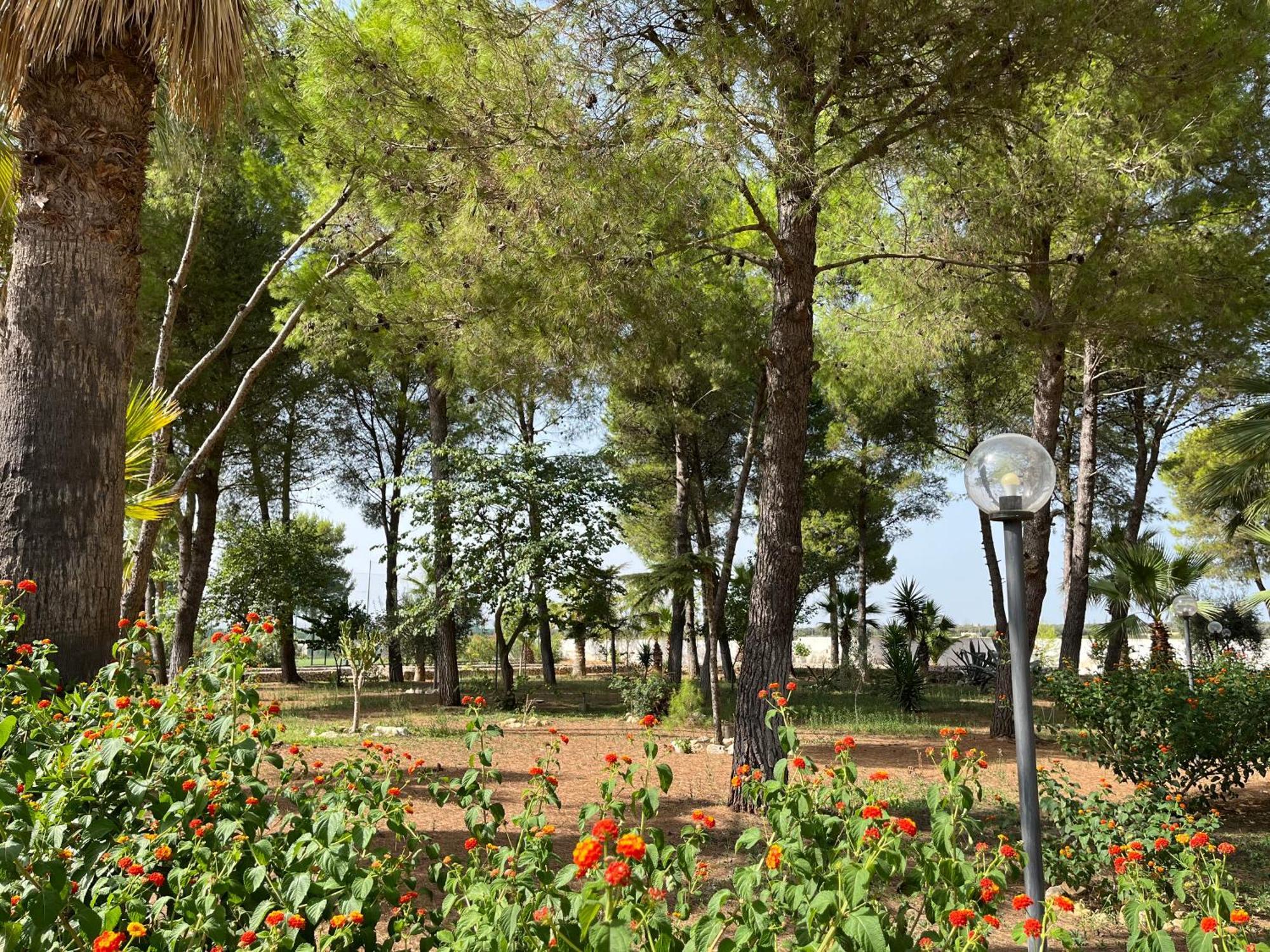 Casette Masseria La Camardia Сава Экстерьер фото