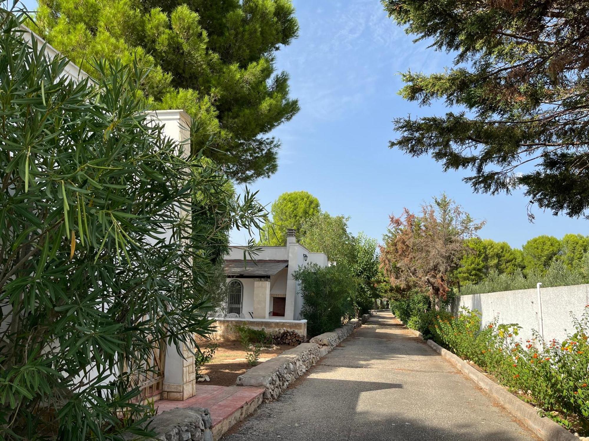 Casette Masseria La Camardia Сава Экстерьер фото
