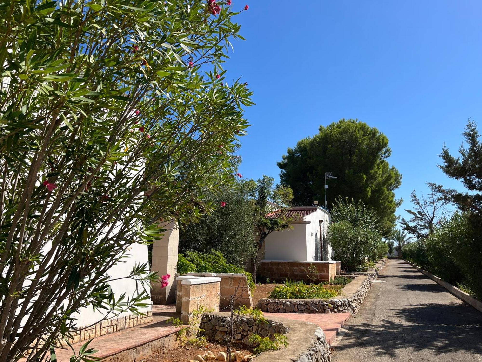 Casette Masseria La Camardia Сава Экстерьер фото