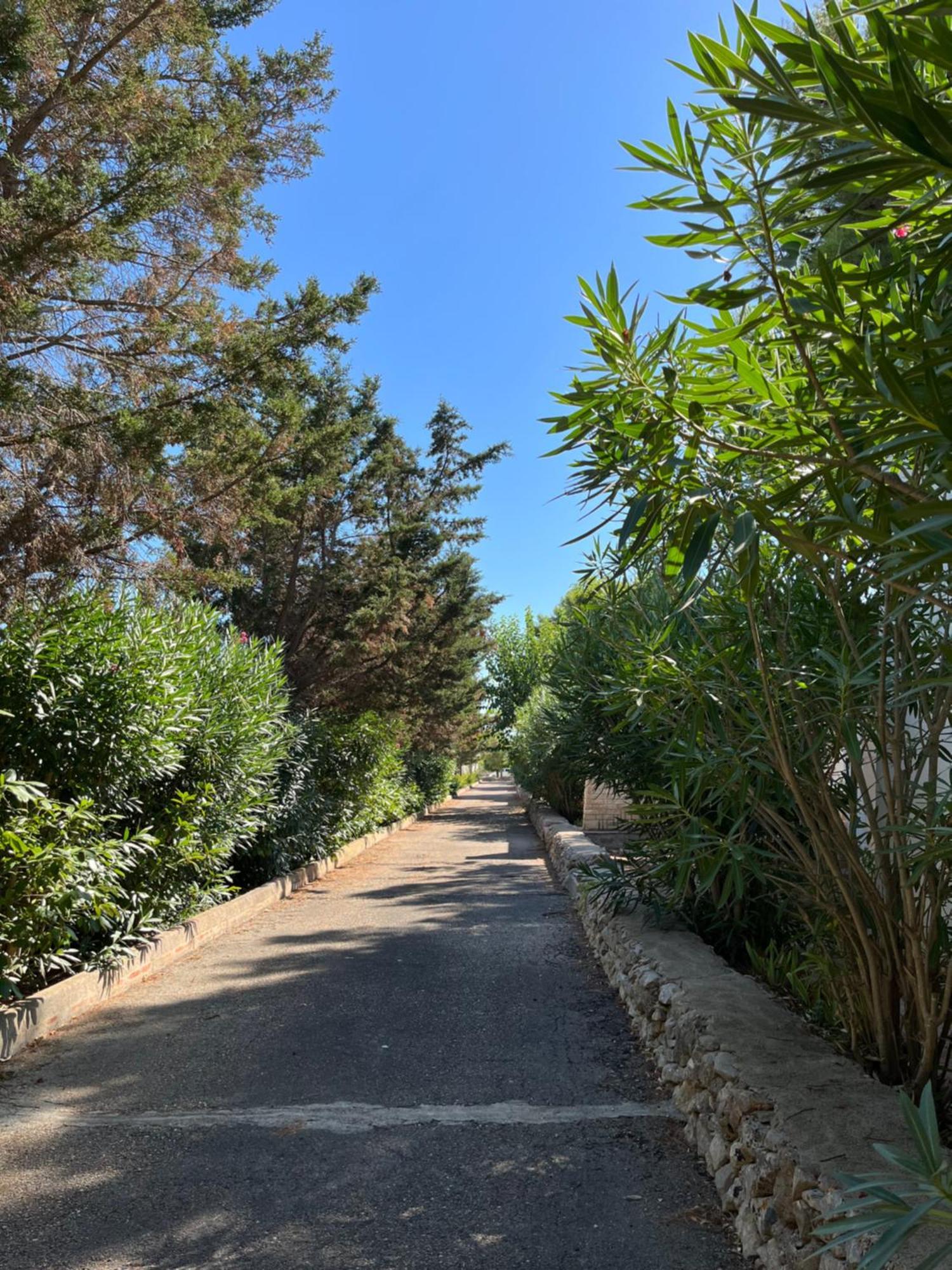 Casette Masseria La Camardia Сава Экстерьер фото